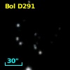 Bol D291