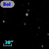 Bol 491