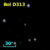 Bol D313