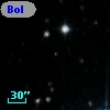 Bol D276