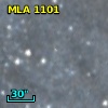 MLA 1101