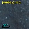 [WB92a] 710