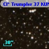 Cl* Trumpler   37    KUN     132