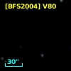 [BFS2004] V80