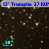 Cl* Trumpler   37    KUN     140
