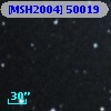 [MSH2004] 50019