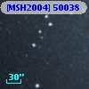 [MSH2004] 50038