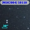 [MSH2004] 50110
