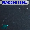 [MSH2004] 51001