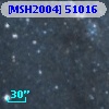 [MSH2004] 51016