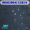 [MSH2004] 51024
