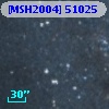 [MSH2004] 51025