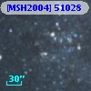 [MSH2004] 51028