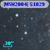 [MSH2004] 51029