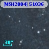 [MSH2004] 51036