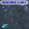 [MSH2004] 52061