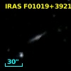 IRAS F01019+3921
