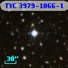 TYC 3979-1066-1