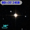 BD+37   245B