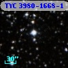 TYC 3980-1668-1
