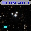 TYC 3979-1312-1