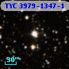 TYC 3979-1347-1