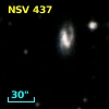 NSV   437