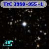 TYC 3980-955-1