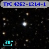 TYC 4262-1214-1