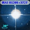 IRAS 01208+3727
