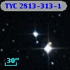 TYC 2813-313-1