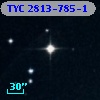 TYC 2813-785-1