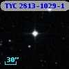 TYC 2813-1029-1