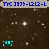 TYC 3979-1212-1