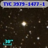 TYC 3979-1477-1