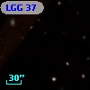 LGG  37