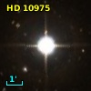 HR   521