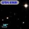 LEDA    6860