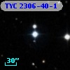 TYC 2306-40-1