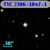 TYC 2306-1047-1