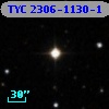 TYC 2306-1130-1