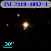 TYC 2319-1087-1
