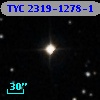 TYC 2319-1278-1