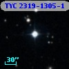 TYC 2319-1305-1