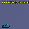 BD+36   384C