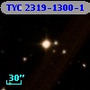TYC 2319-1300-1