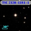 TYC 2320-1181-1