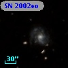 SN 2002eo