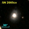 SN 2005cx