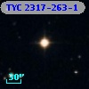 TYC 2317-263-1